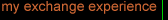 my exchange experience
