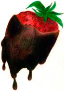 Click the berry to see about odering these at Shelton-Mathews main home page