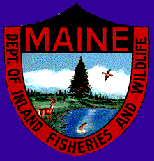 Click here to go to the website of the Maine Dept. of Inland Fisheries & Wildlife!