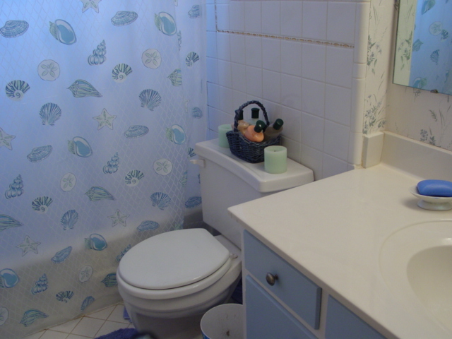 Toilet Area (before)