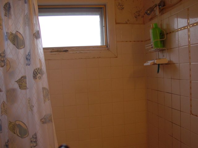Window area near tub (before)