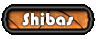 Go here to find out more about Shibas!