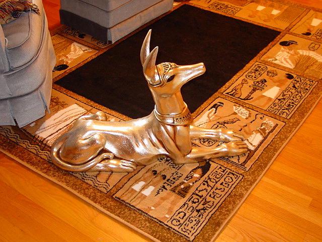 My Egyptian Anubis Dog
