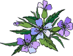An439.gif (18911 bytes)