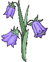 An678.gif (10309 bytes)
