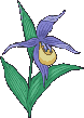 An685.gif (11982 bytes)