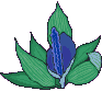 An687.gif (10284 bytes)