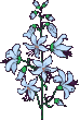 An691.gif (9483 bytes)