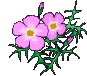 An694.gif (11476 bytes)