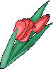 An697.gif (9938 bytes)