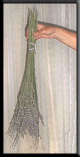 dried lavender