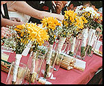 displaying flowers