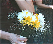 close up of daisy bundle