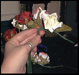 tape with florist tape