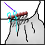 stich combs to veil
