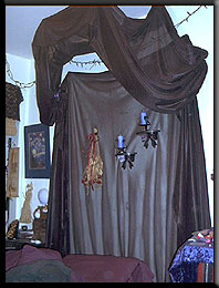 bed canopy