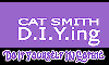 Cat Smith DIYing