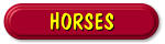 My Horse Page