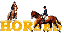 horses.co.uk