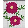 Marsha's graph in thumbnail