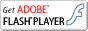 Obtenga el flash player