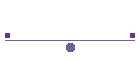 About the Project