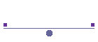 Development Team