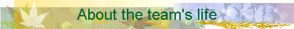 About the team's life