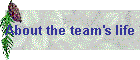 About the team's life