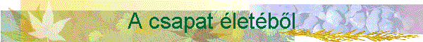 A csapat �let�b�l