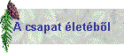 A csapat �let�ből