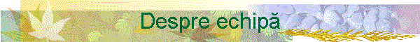 Despre echip�