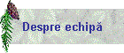 Despre echipă