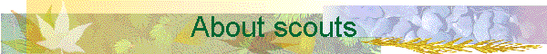 About scouts