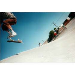 The skate park
