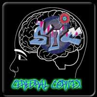 MP3's from Cerebral Cortex