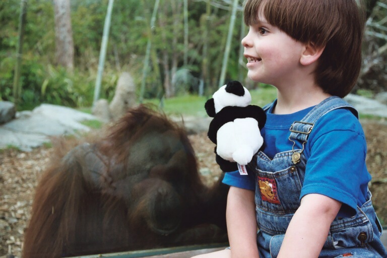 Who's the monkey?