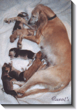 Blondie and family