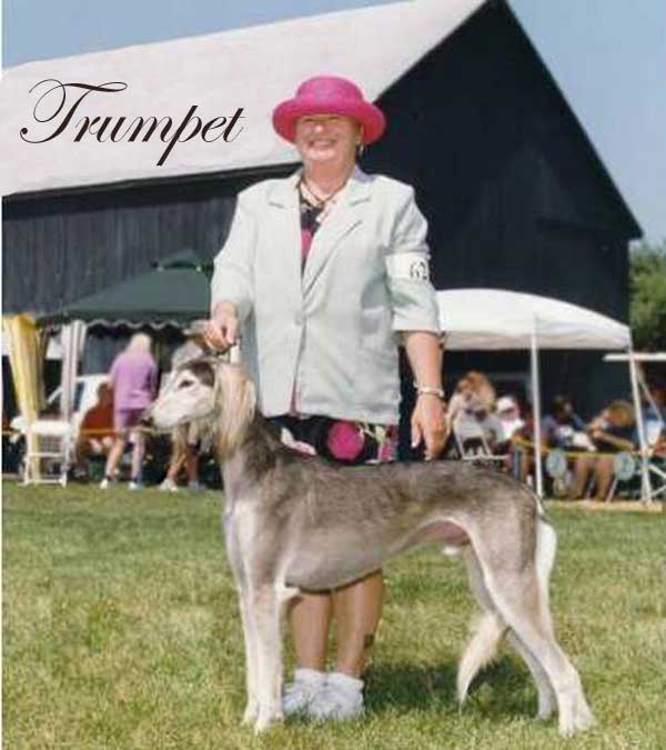 Trumpet at Kentucky