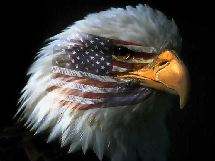 These colors don't run!