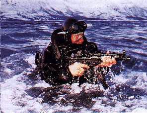 Navy SEAL
