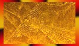 colibri,l�nea de Nazca