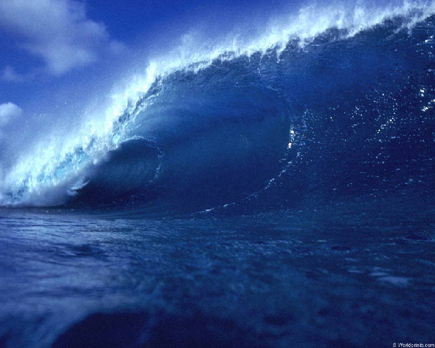 [waimea closeout]
