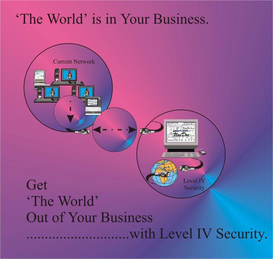 Level IV
