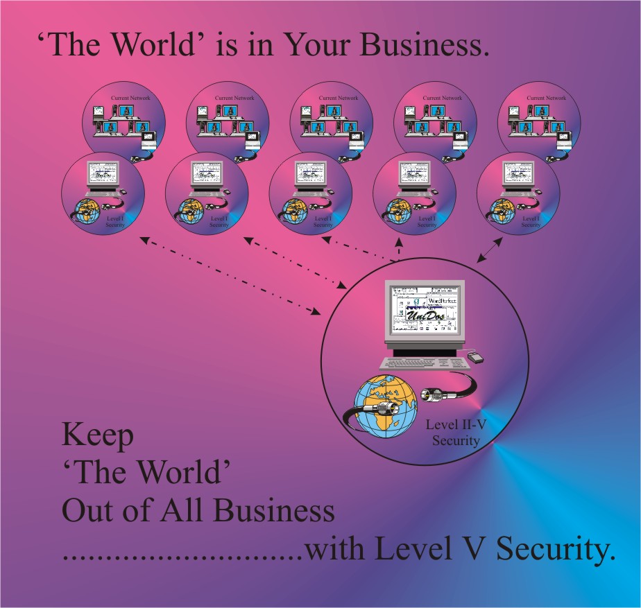 Level V