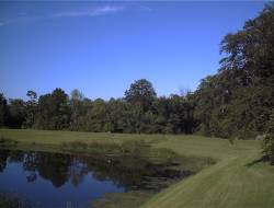 Our pond