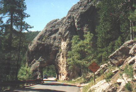 Black Hills campsite