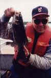 catbass110.jpg (42067 bytes)