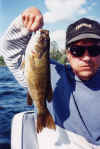 catbass117.jpg (55385 bytes)