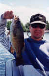 catbass112.jpg (47770 bytes)